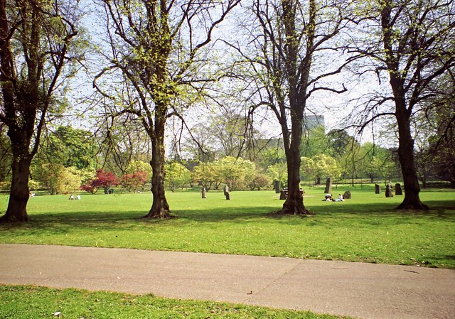 Bute Park on a fine day in Spring