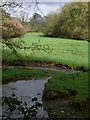 Field & Stream near Heasley Mill