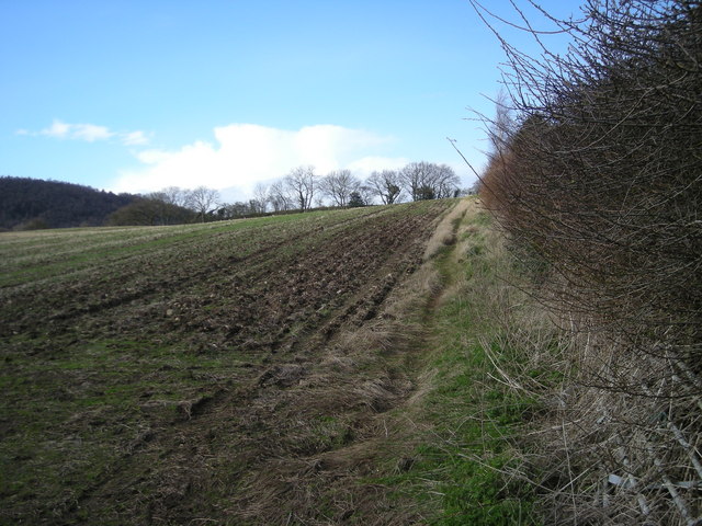 Field beside Severnvale