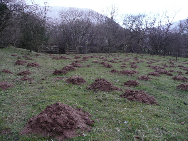 Making mountains of molehills