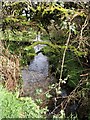 River Camel near Hendraburnick