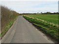 View along Alland Grange Lane