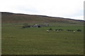 SD5451 : Isle of Skye Farm near Catshaw Fell by Peter Bond
