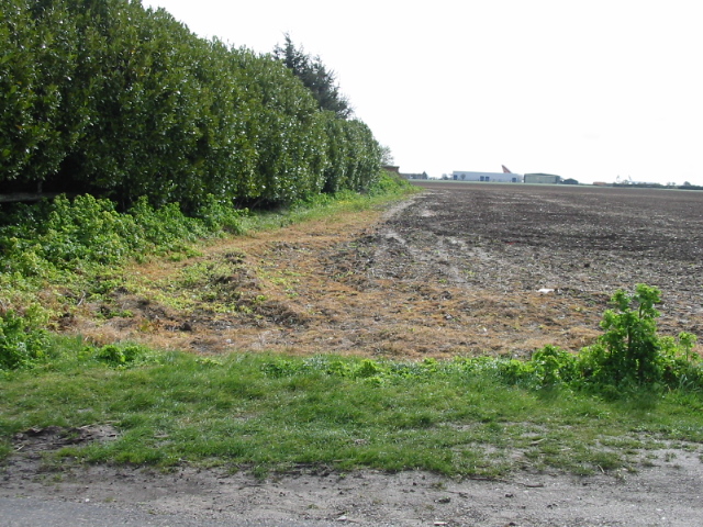 Field boundary, looking towards Manston