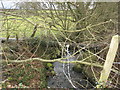 Afon Cadnant