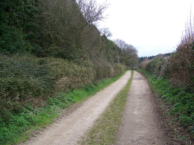 Track from Manor Farm to Whitsbury Cross