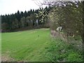 Field beside Drove Barn