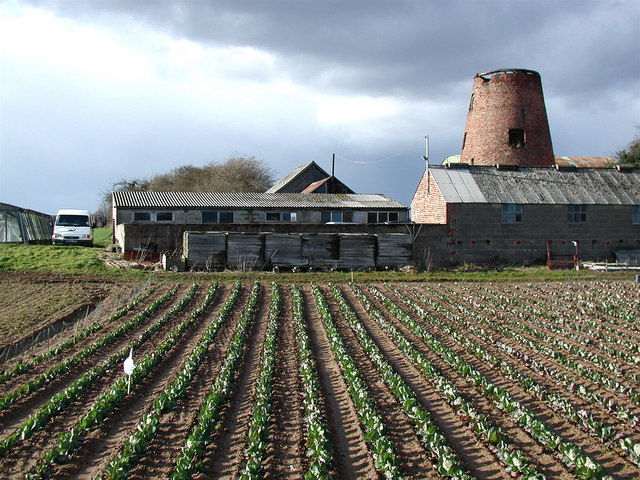 Mill Farm, Etton