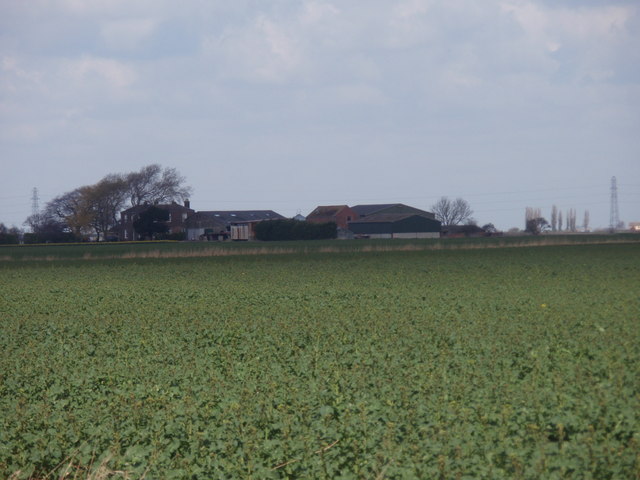 Field near Owen's Farm