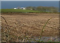 Fields, Windmill Road near Donaghadee [1]