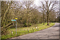 View from start of Footpath to Hadley Wood Road