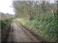 Footpath towards Rockbourne