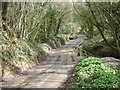 Bullhill Brook ford