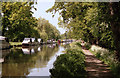 Wey Navigation above New Haw Lock