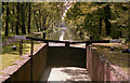 Looking west above Woodham bottom lock, Basingstoke Canal