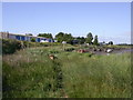 Lytham Creek