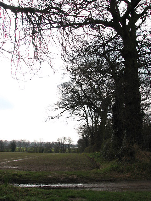 View SW across footpath