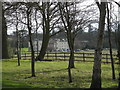 Through the trees to Concord College