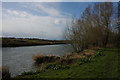 SO9543 : River Avon near Great Comberton by Philip Halling