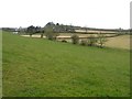 Woodtown Townland