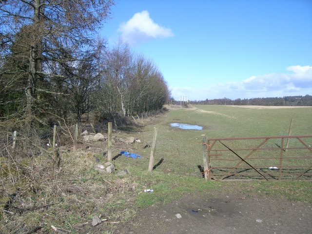 Field near junction of M9