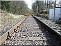 Hedgehogs eyeview from the level crossing