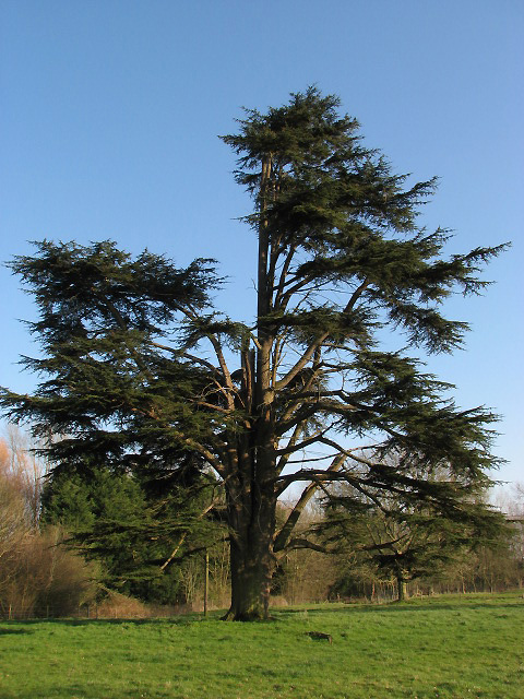 Dudwick Park © Evelyn Simak :: Geograph Britain And Ireland