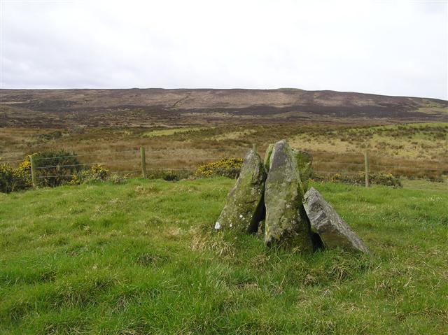 Chambered Grave, Ballylame