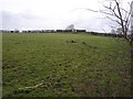 Churchtown Townland