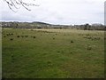 Brockaghboy Townland