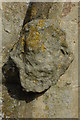 Weathered head, Great Comberton Church