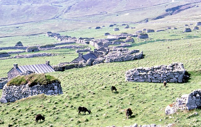 Soay sheep by the deserted village © Des Colhoun :: Geograph Britain ...
