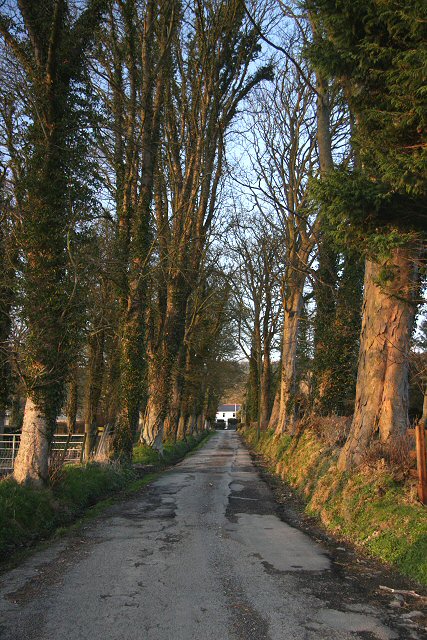 Road to Brynog Home Farm