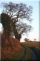 Bridleway to Tal-sarn