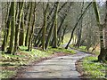 Farm road, Upper Vicar