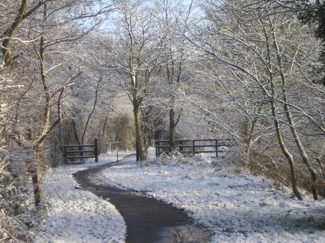 The Lagan Tow Path, below the Mary Peters Track