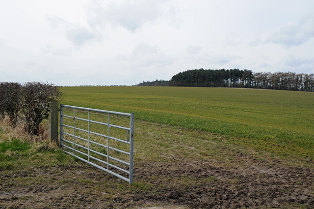 Gate and Farmland