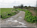 Track to allotments off Nash Road