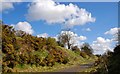 The Comber Greenway (4)