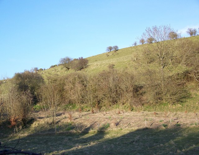 Coombe Bissett Down Nature Reserve © Maigheach-gheal cc-by-sa/2.0 ...