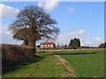 Farmland and cottage, Stokenchurch