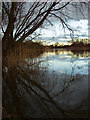 Fishing ponds, Newport