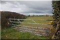 Field boundary and gate near Nantgwynfynydd