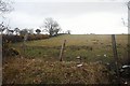 Farmland near Blaenpant