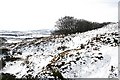 Hill of Tillymorgan: Former Slate Quarries