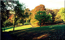 NS5859 : Linn Park autumn 1972 by Tom Caldwell
