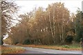 Main Road to Romsey from Potter Heron