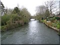 River Avon, Harnham