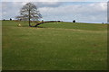 Grazing land above Deep Dean