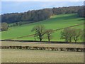 Farmland, Great Missenden